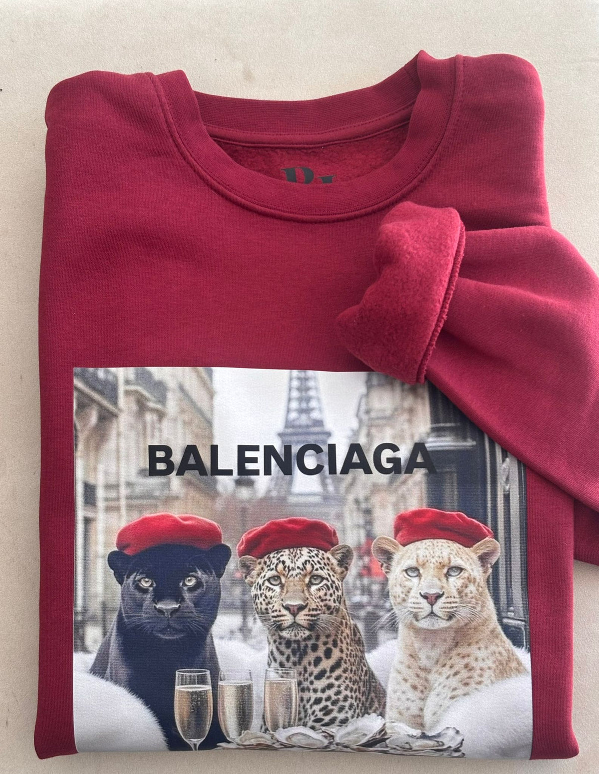 SUDADERA PARÍS